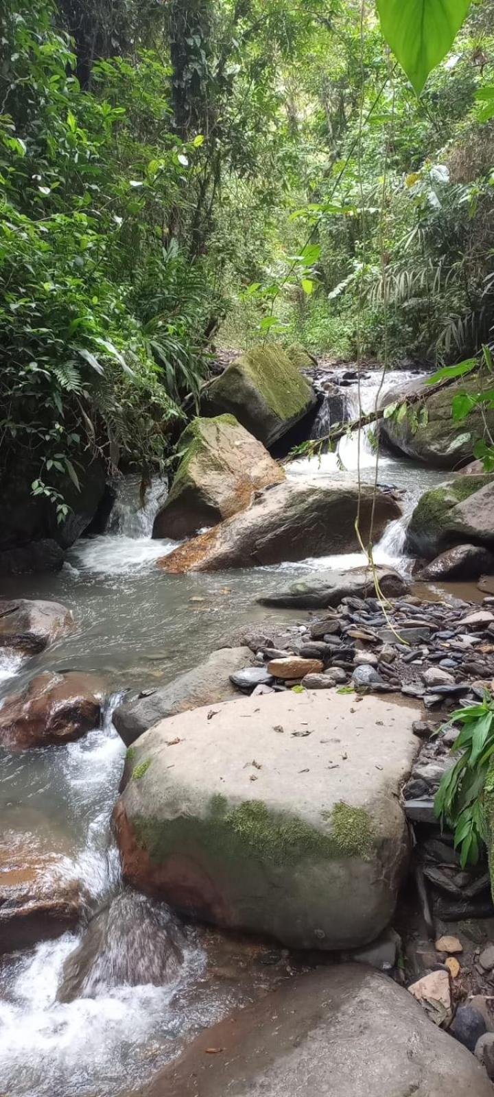 拉维加Finca Campestre San Miguelito别墅 外观 照片